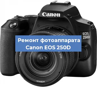 Замена матрицы на фотоаппарате Canon EOS 250D в Ростове-на-Дону